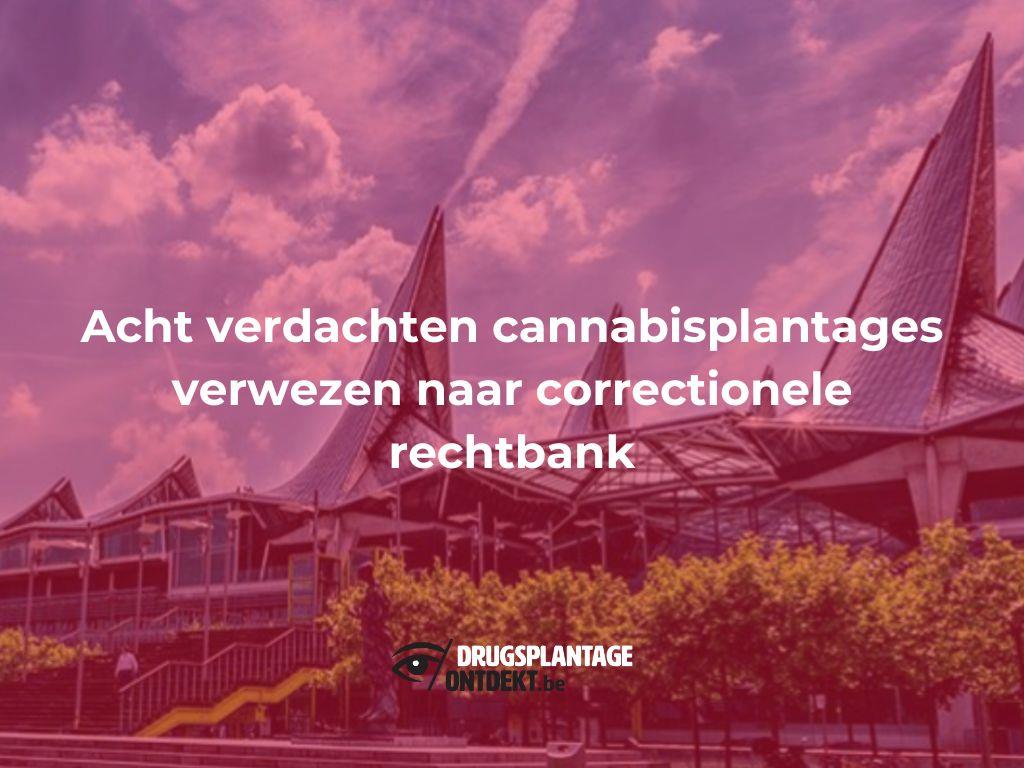 Antwerpen - Acht verdachten cannabisplantages verwezen naar correctionele rechtbank